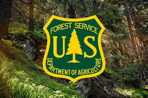 USDA Forest Service Distributes 3 8M To Wyoming In Secure Rural