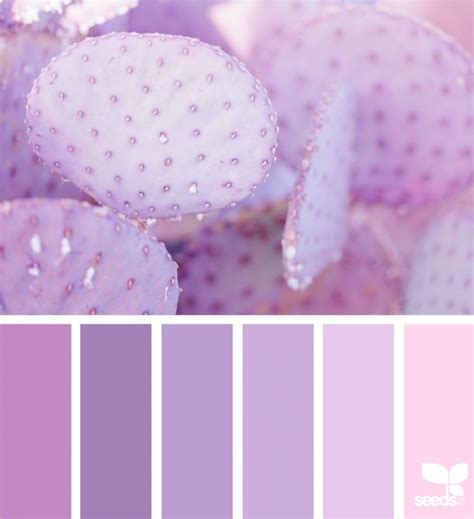 Succulent Hues Fresh Hues Color Palette Design Color Schemes