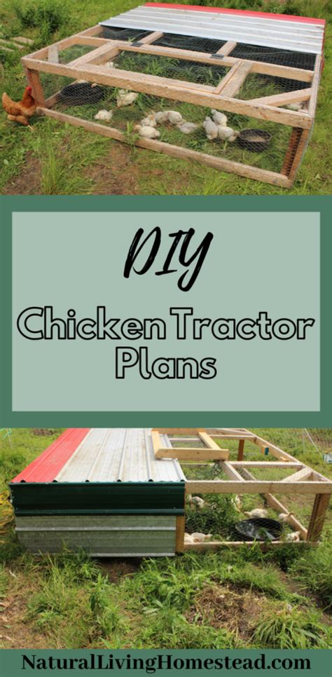 Diy chicken tractor – Artofit