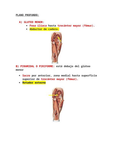 Docx M Sculos Del Miembro Inferior Dokumen Tips