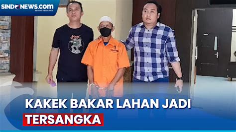 Tertangkap Tangan Kakek Pembakar Lahan Di Muarojambi Jadi Tersangka