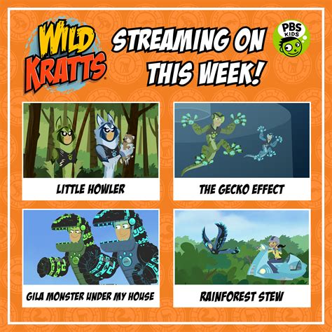 Wild Kratts Rainforest Stew Atelier Yuwa Ciao Jp