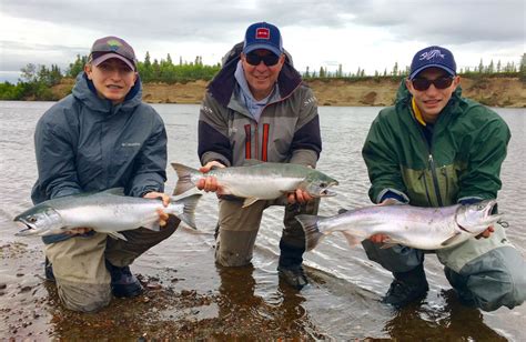 Blog By Alaska Fishing Lodge Anglers Alibi