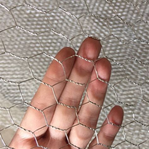 Galvanized Hexagonal Wire Netting Chicken Wire Mesh