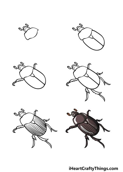 Beetle Drawing How To Draw A Beetle Step By Step