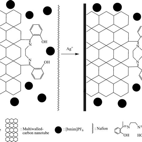 Proposed Mechanism Of The Mwcnt Bmim Pf Bze Nafion Gce For Ag I