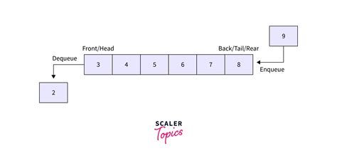 Difference Between Primitive And Non Primitive Data Structure Scaler