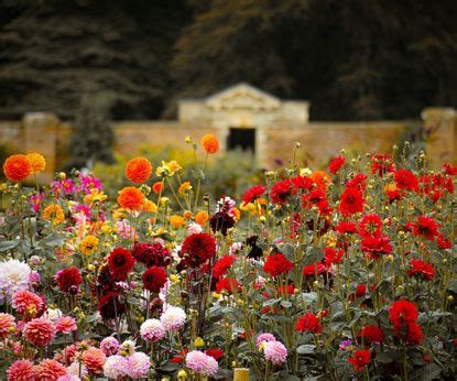 What is a memory garden? 5 ways to remember loved ones | Homes & Gardens