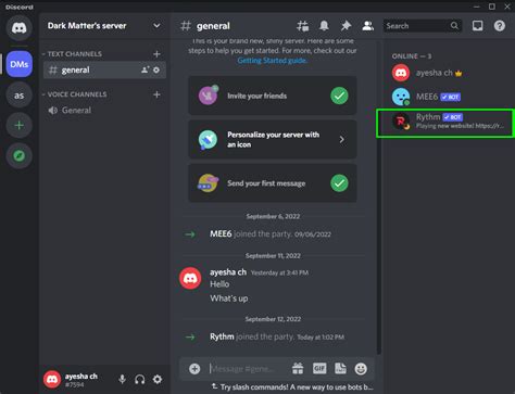 How To Add Rhythm Bot In Discord Server App Blends