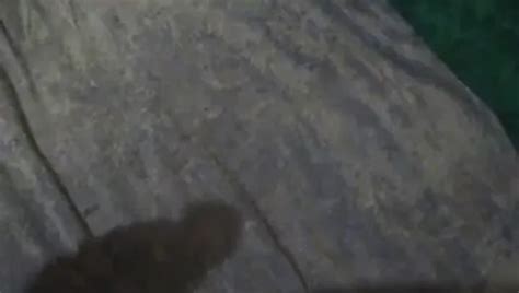 Cum Dick Shadow Mute Gay Skinny Porn Video A Xhamster