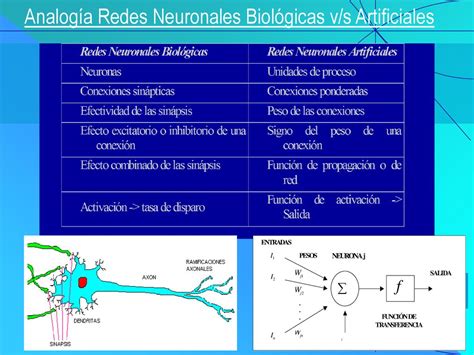 Introducci N A Las Redes Neuronales Ppt Descargar