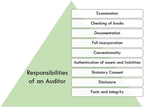 Who is an Auditor? qualifications, qualities, responsibilities and ...