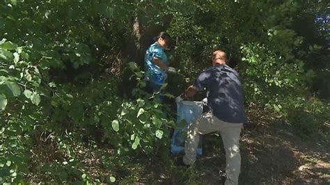 Scajaquada Creek Clean Up To Take Place In September Youtube