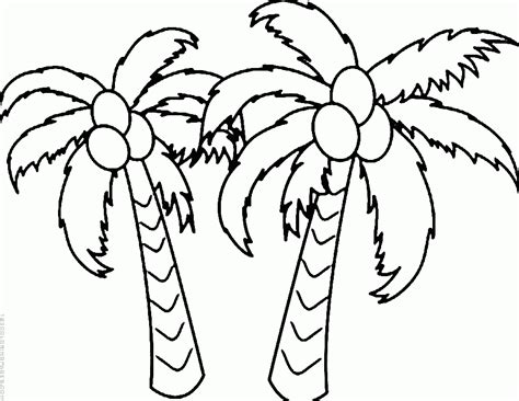 Coloring Page Coconut Tree - Coloring Page Book Free Download