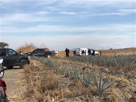 Localizan restos humanos en bolsas negras en Tlajomulco Telediario México