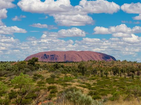 Red earth, blue sky and green leaves – The monolith Uluru – Pitiless Traveller