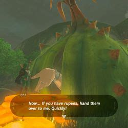 Zelda Breath Of The Wild Guide The Stolen Heirloom Shrine Quest