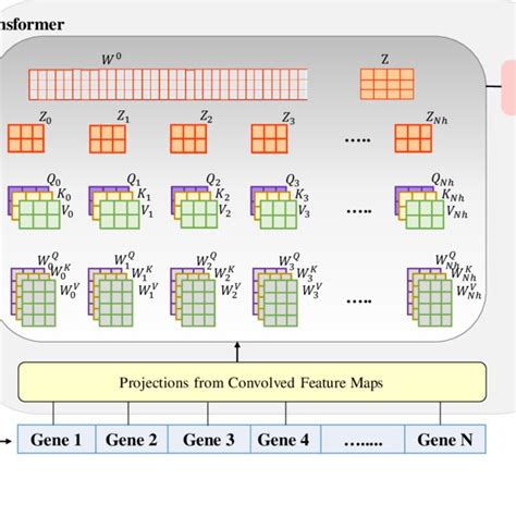 Graphical Representation Of The End To End Deep Learning Approach For