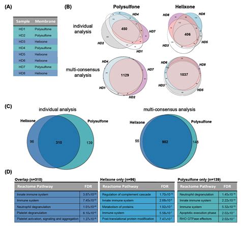 Membranes Free Full Text In Depth Analysis Of The Extracorporeal