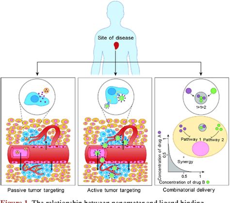 Figure 1 From Application Of Nano Delivery System In Tumor