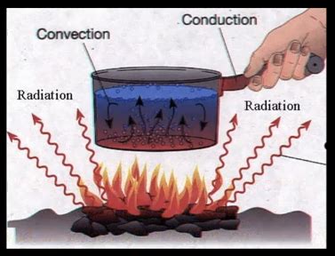 The Medical Cat: Radiation, Conduction, & Convection RAP