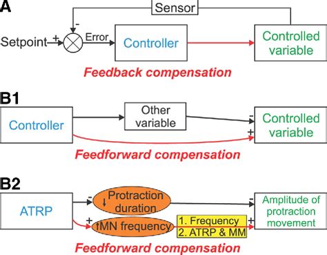 Figure From Feedforward Compensation Mediated By The Central And