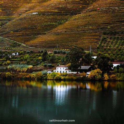 Duoro Valley in Portugal, The Wine Region (2025 Guide) · Salt in our Hair