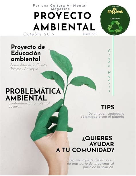 Proyecto Ambiental By Paula Flipsnack