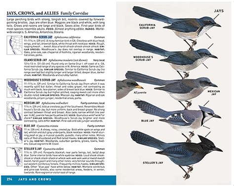 Peterson Field Guide To Birds Of Western North America Peterson Field