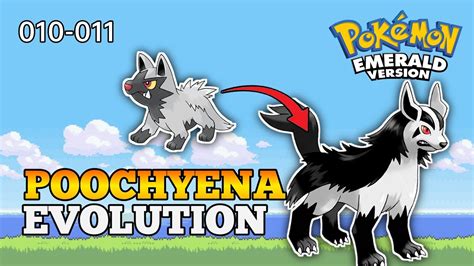 How To Evolve Poochyena Into Mightyena | Hoenn Pokedex - YouTube