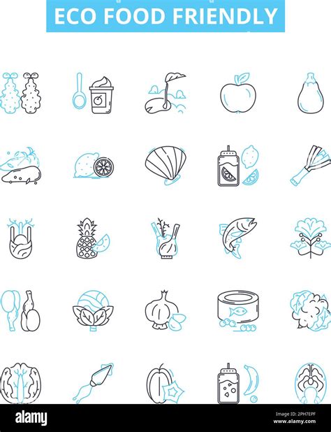 Eco Food Friendly Vector Line Icons Set Eco Friendly Food Organic