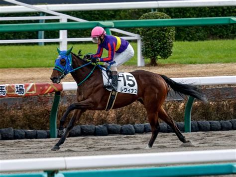 【中山6r新馬戦結果】10番人気レヴィナスが後続に5馬身差を付ける圧勝劇 競馬ニュース Netkeiba