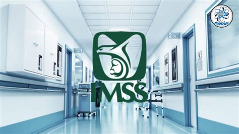 Descubre Las Diferencias Entre IMSS Y IMSS Bienestar Salud Universal