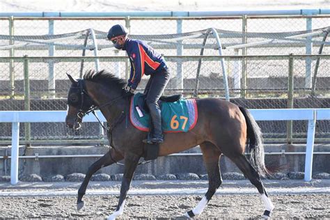 【今週の注目新馬】イクイノックスの半妹ガルサブランカが越後路から羽ばたく サンスポzbat