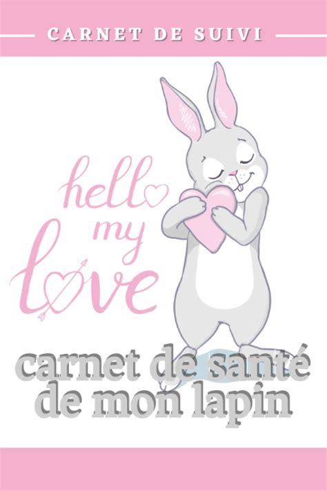 Buy Carnet De Sant De Mon Lapin Carnet De Suivi Pour Lapin Cahier