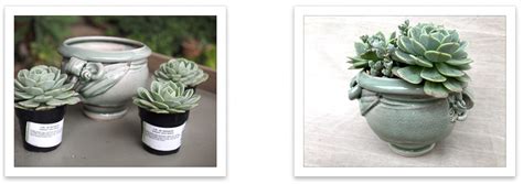 Perfect Succulent Art Pot Pairings Debra Lee Baldwin