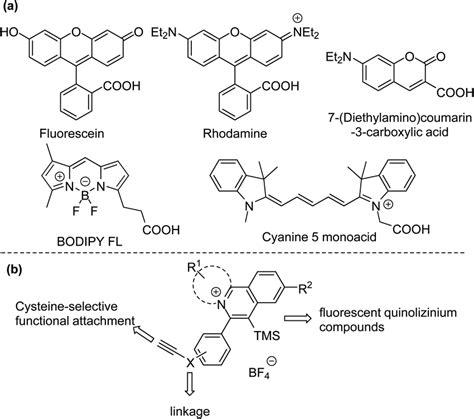 A Selected Examples Of Organic Fluorescent Dyes Commonly Used In