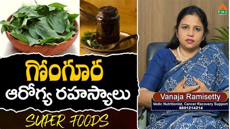 గోంగూర ఆరోగ్య రహస్యాలు Health Benefits Of Gongura Pmc Health Youtube