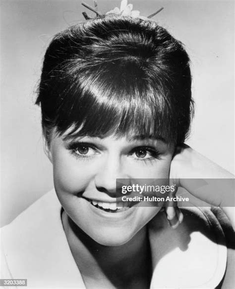 242 Photos Et Images Haute Résolution De Sally Field Gidget Getty Images