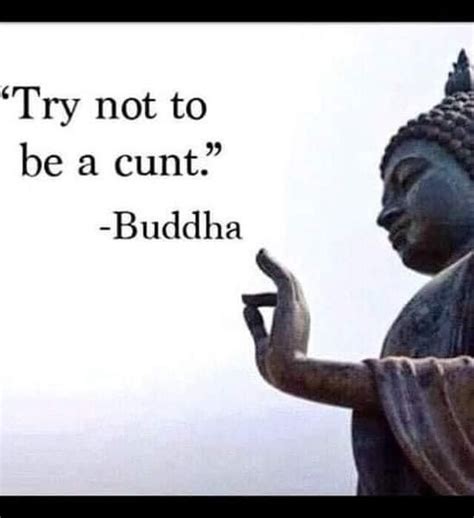 Pin by Nina Du Plessis ॐ on This is ME Astrology humor Buddha quote