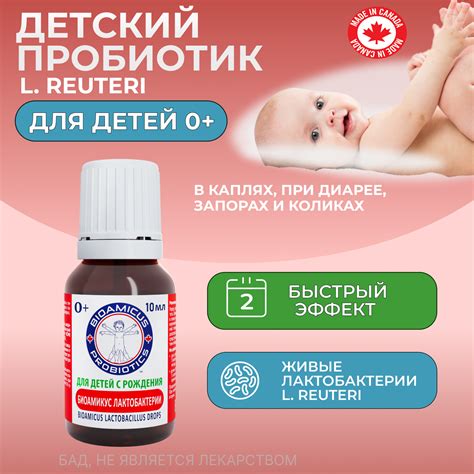 Пробиотик Лакто Реутери BioAmicus в каплях с рождения 10 мл купить по ...