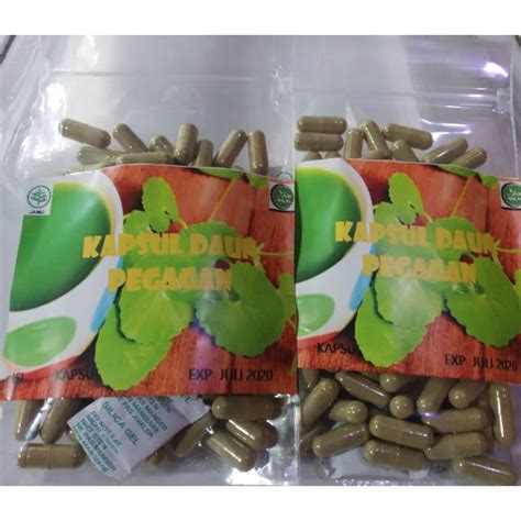 Jual Kapsul Pegagan Antanan Herbal Nutrisi Dan Vitamin Untuk