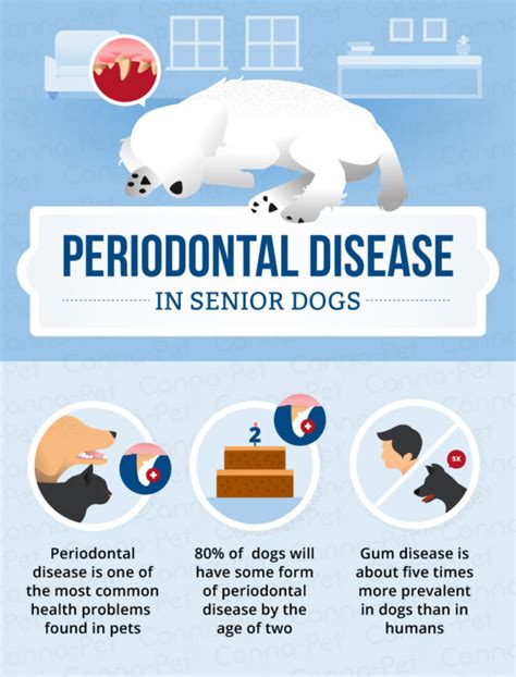 Periodontal Disease in Senior Dogs | Canna-Pet®