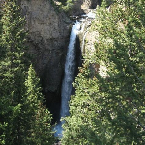 Yellowstone Tower Fall Pr Sentation Et Avis Des Voyageurs