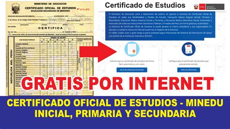 Certificado Oficial De Estudios