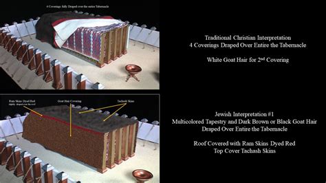 Coverings Of The Tabernacle Part Badger Skins Tachash Exodus