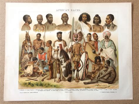 1904 Original Antique Lithograph African Races Human Races