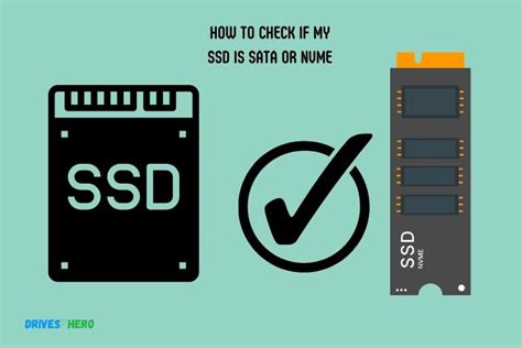 Sas Ssd Vs Sata Ssd Which Option Is The More Favorable