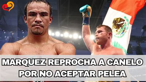 Juan Manuel Márquez critica al Canelo por no aceptar pelea YouTube