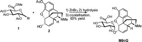 Molecules Free Full Text Synthesis Of Glycosides Of Glucuronic Galacturonic And Mannuronic